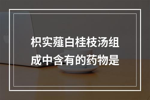 枳实薤白桂枝汤组成中含有的药物是