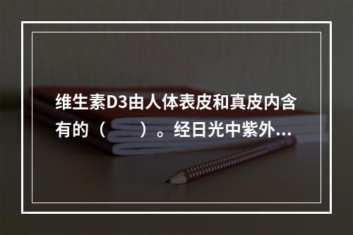 维生素D3由人体表皮和真皮内含有的（　　）。经日光中紫外线