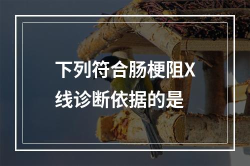 下列符合肠梗阻X线诊断依据的是