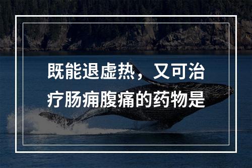 既能退虚热，又可治疗肠痈腹痛的药物是