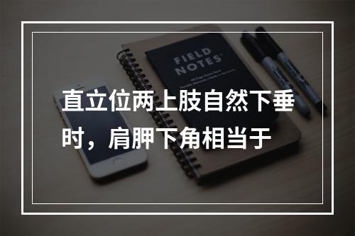 直立位两上肢自然下垂时，肩胛下角相当于