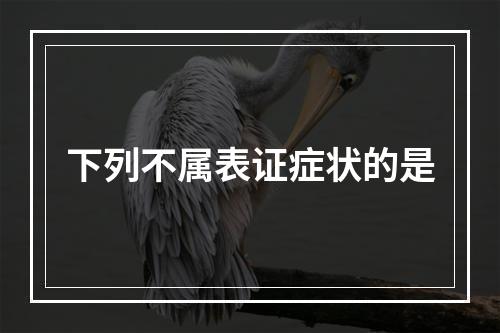 下列不属表证症状的是