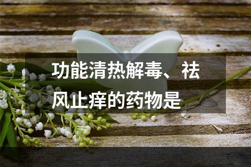 功能清热解毒、祛风止痒的药物是