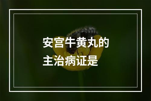 安宫牛黄丸的主治病证是