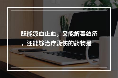 既能凉血止血，又能解毒敛疮，还能够治疗烫伤的药物是