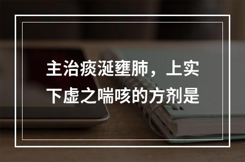 主治痰涎壅肺，上实下虚之喘咳的方剂是