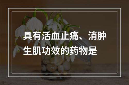 具有活血止痛、消肿生肌功效的药物是