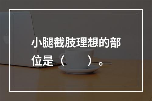 小腿截肢理想的部位是（　　）。