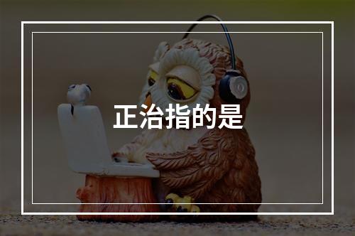 正治指的是