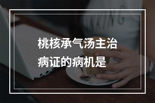 桃核承气汤主治病证的病机是