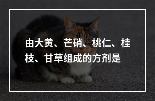 由大黄、芒硝、桃仁、桂枝、甘草组成的方剂是