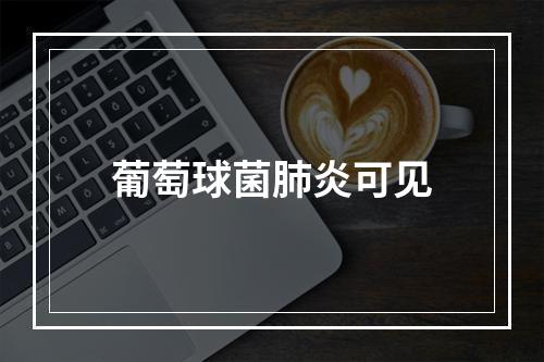 葡萄球菌肺炎可见