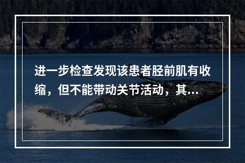 进一步检查发现该患者胫前肌有收缩，但不能带动关节活动，其他肌