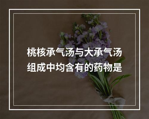 桃核承气汤与大承气汤组成中均含有的药物是