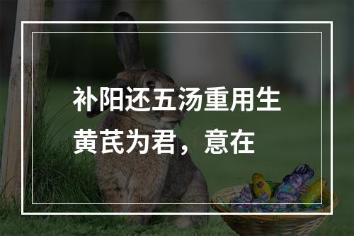 补阳还五汤重用生黄芪为君，意在