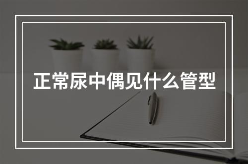 正常尿中偶见什么管型