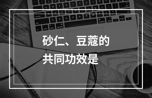 砂仁、豆蔻的共同功效是