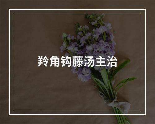 羚角钩藤汤主治