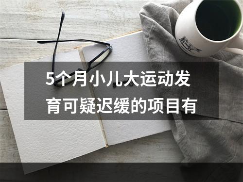 5个月小儿大运动发育可疑迟缓的项目有