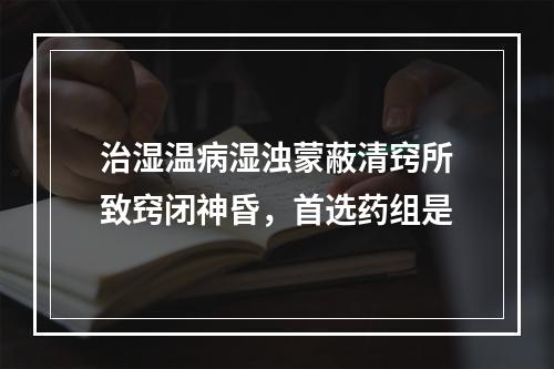 治湿温病湿浊蒙蔽清窍所致窍闭神昏，首选药组是