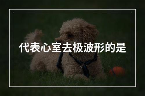 代表心室去极波形的是