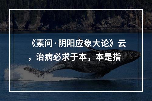 《素问·阴阳应象大论》云，治病必求于本，本是指