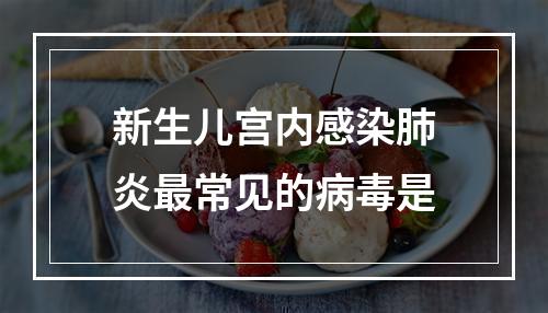 新生儿宫内感染肺炎最常见的病毒是