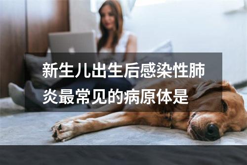 新生儿出生后感染性肺炎最常见的病原体是