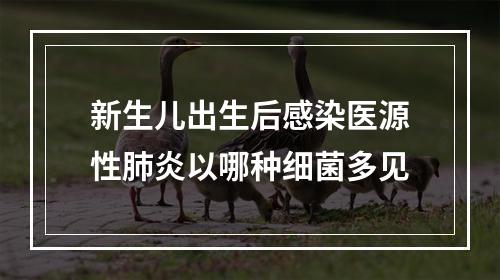 新生儿出生后感染医源性肺炎以哪种细菌多见