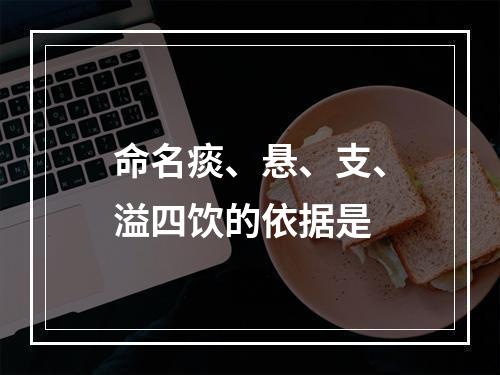 命名痰、悬、支、溢四饮的依据是