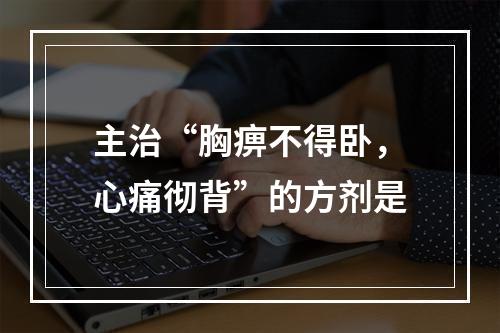 主治“胸痹不得卧，心痛彻背”的方剂是