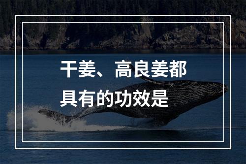 干姜、高良姜都具有的功效是