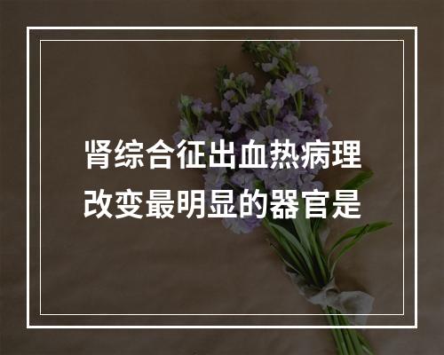 肾综合征出血热病理改变最明显的器官是