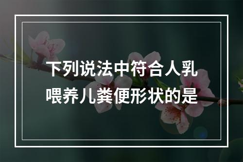 下列说法中符合人乳喂养儿粪便形状的是