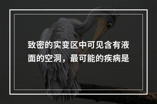 致密的实变区中可见含有液面的空洞，最可能的疾病是