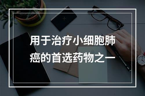 用于治疗小细胞肺癌的首选药物之一