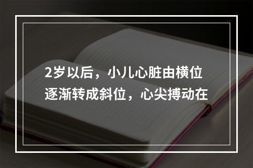 2岁以后，小儿心脏由横位逐渐转成斜位，心尖搏动在