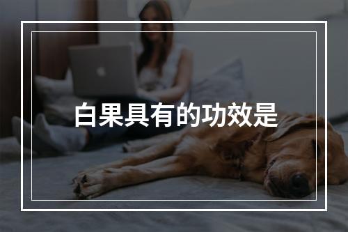 白果具有的功效是