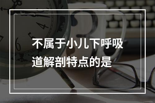 不属于小儿下呼吸道解剖特点的是