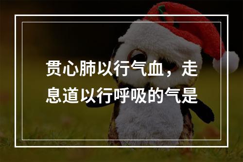 贯心肺以行气血，走息道以行呼吸的气是