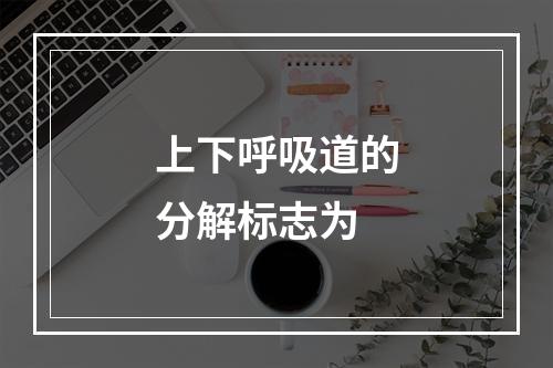 上下呼吸道的分解标志为