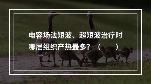 电容场法短波、超短波治疗时哪层组织产热最多？（　　）