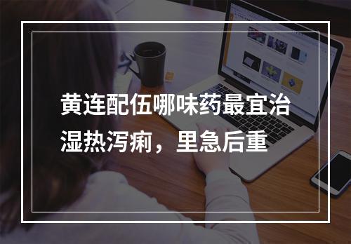 黄连配伍哪味药最宜治湿热泻痢，里急后重