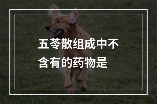 五苓散组成中不含有的药物是