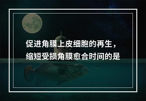 促进角膜上皮细胞的再生，缩短受损角膜愈合时间的是