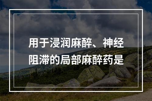 用于浸润麻醉、神经阻滞的局部麻醉药是