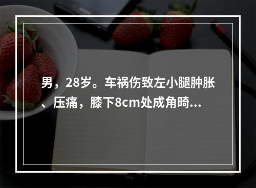 男，28岁。车祸伤致左小腿肿胀、压痛，膝下8cm处成角畸形，