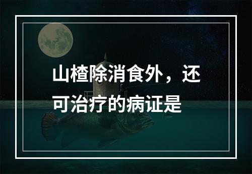 山楂除消食外，还可治疗的病证是