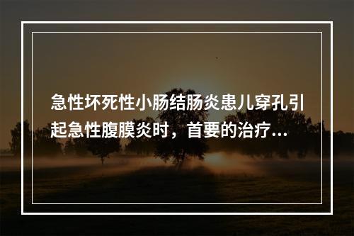 急性坏死性小肠结肠炎患儿穿孔引起急性腹膜炎时，首要的治疗方法