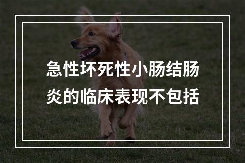 急性坏死性小肠结肠炎的临床表现不包括